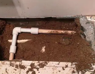 新兴测漏水哪家好