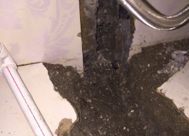 新兴卫生间测漏水哪家好