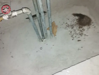 新兴卫生间测漏水价格明细