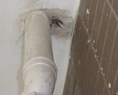 新兴漏水检测哪家好